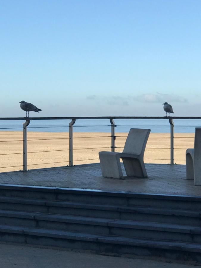 Vakantie Appartement Allure, Met Zuidgericht Tuintje Oostende Bagian luar foto